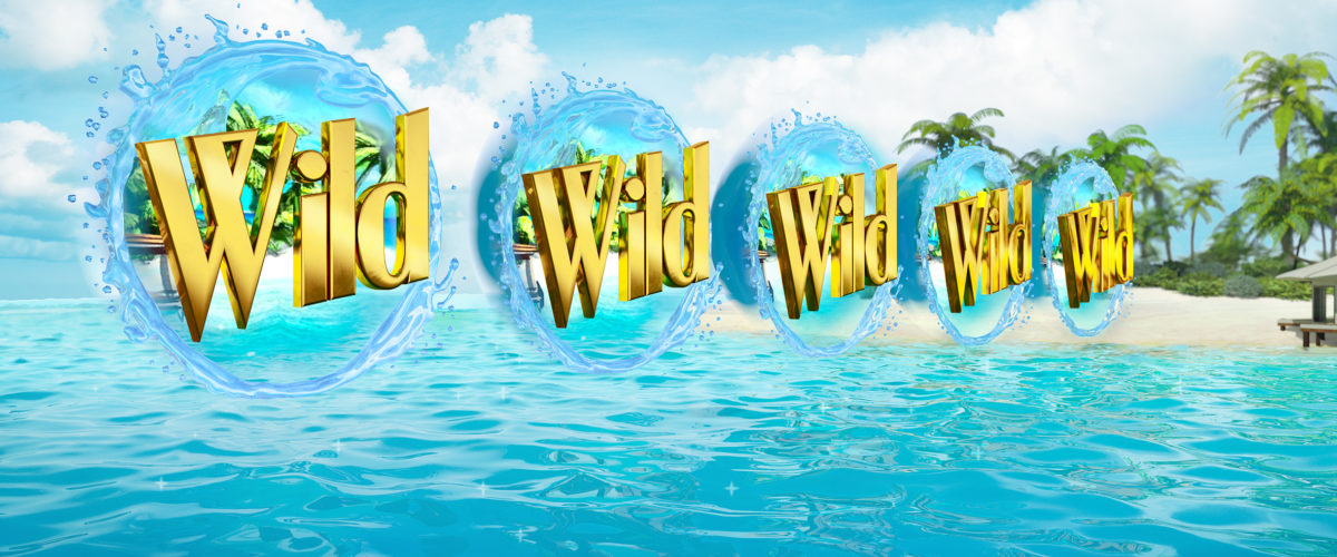 Wild features are always welcome on whatever variety of slot they appear on