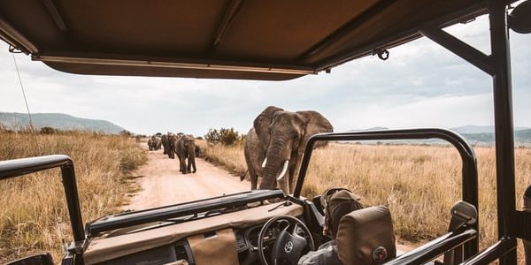 Guests of Sun City won’t be far away from incredible safaris and picturesque views like this one