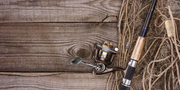 Get your net, rod, and tackle ready for a big catch out on the open seas